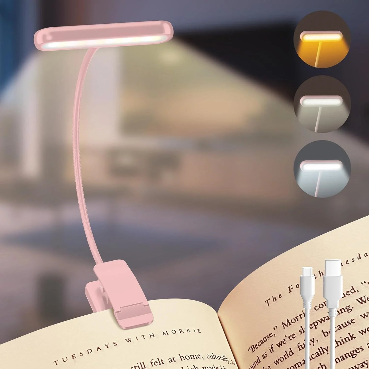 Led Book Lamp