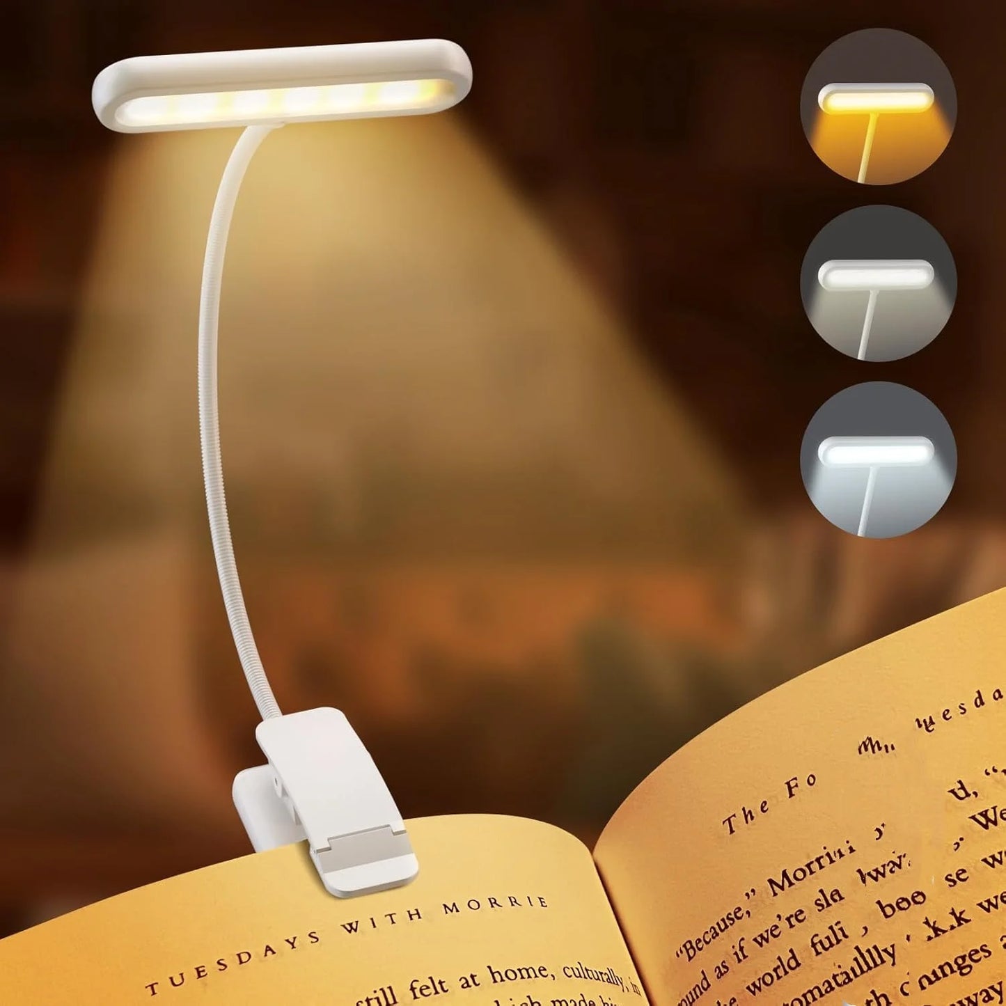 Led Book Lamp
