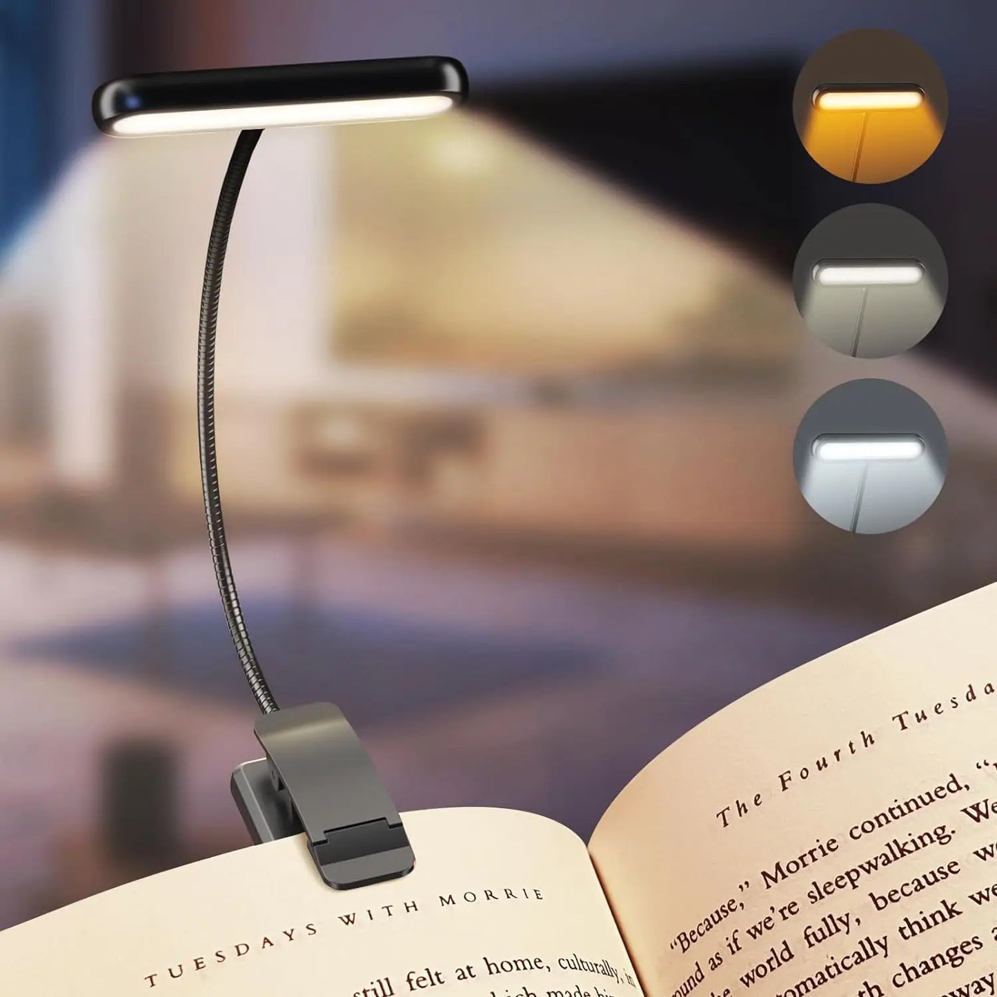Led Book Lamp
